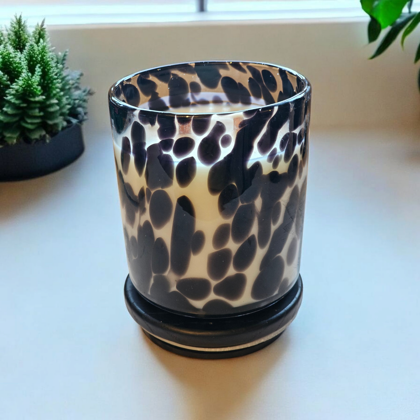 Vanilla Orchid