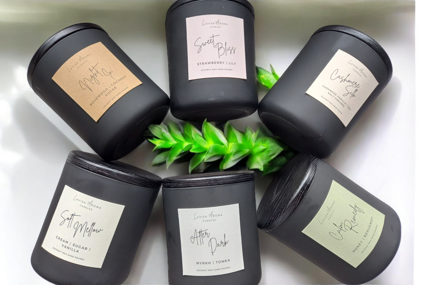 Signature Collection